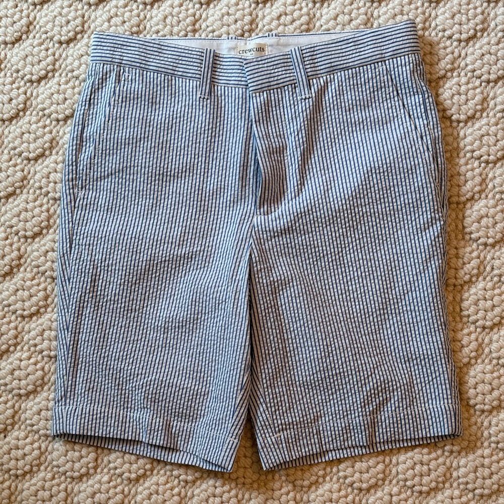 J. Crew Blue and White Striped Men's Shorts